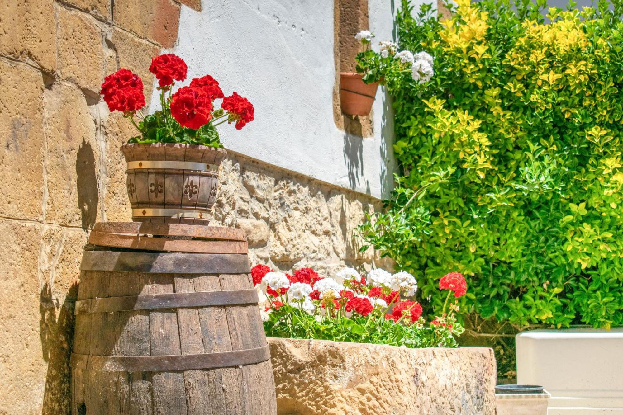 Casa Rural Arotzenia, Hogar Rustico En Pleno Valle De La Ulzama Lizaso Εξωτερικό φωτογραφία